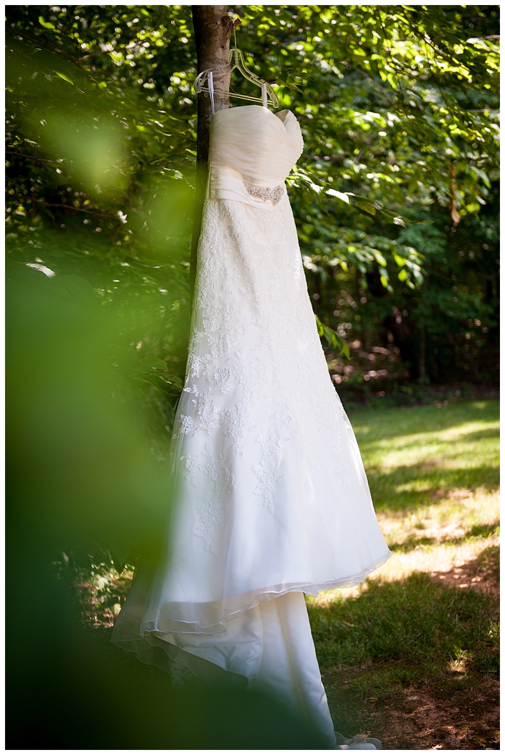 wedding dress in trees