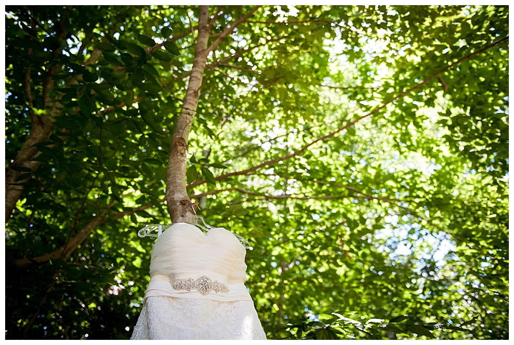 wedding dress in trees