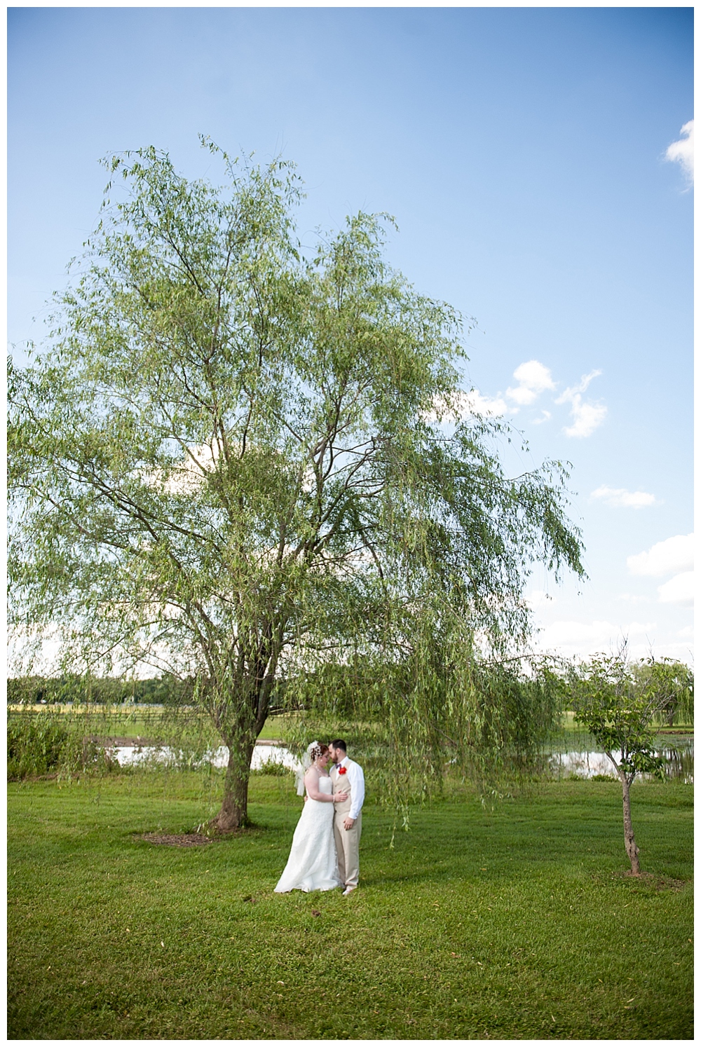bride groom wedding portrait in weeping willow