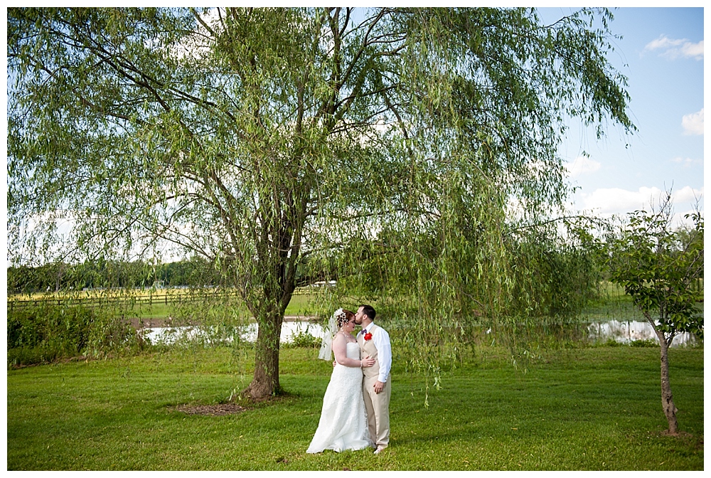 bride groom wedding portrait in weeping willow