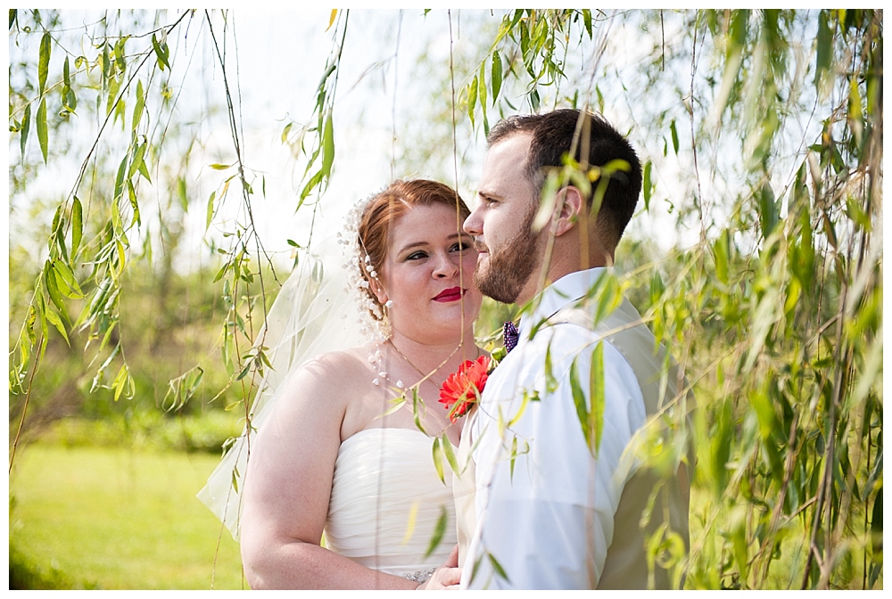 bride groom wedding portrait in weeping willow