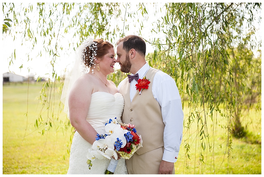 bride groom wedding portrait in weeping willow