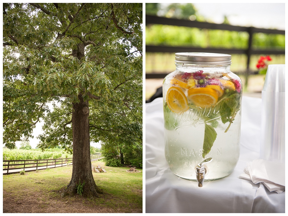 ice water with flowers and fruit