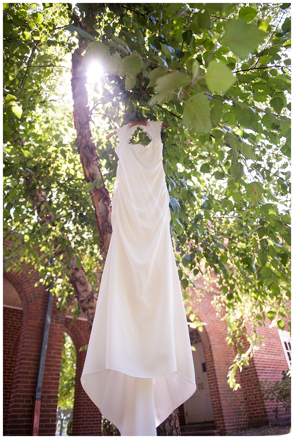 wedding gown backlit hanging in tree