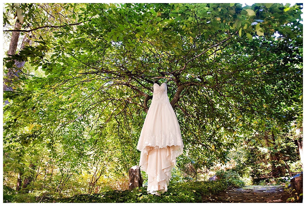 wedding dress in tree