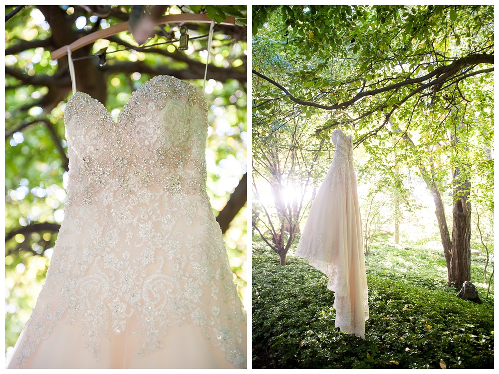 wedding dress in tree