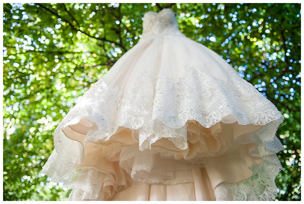 wedding dress in tree