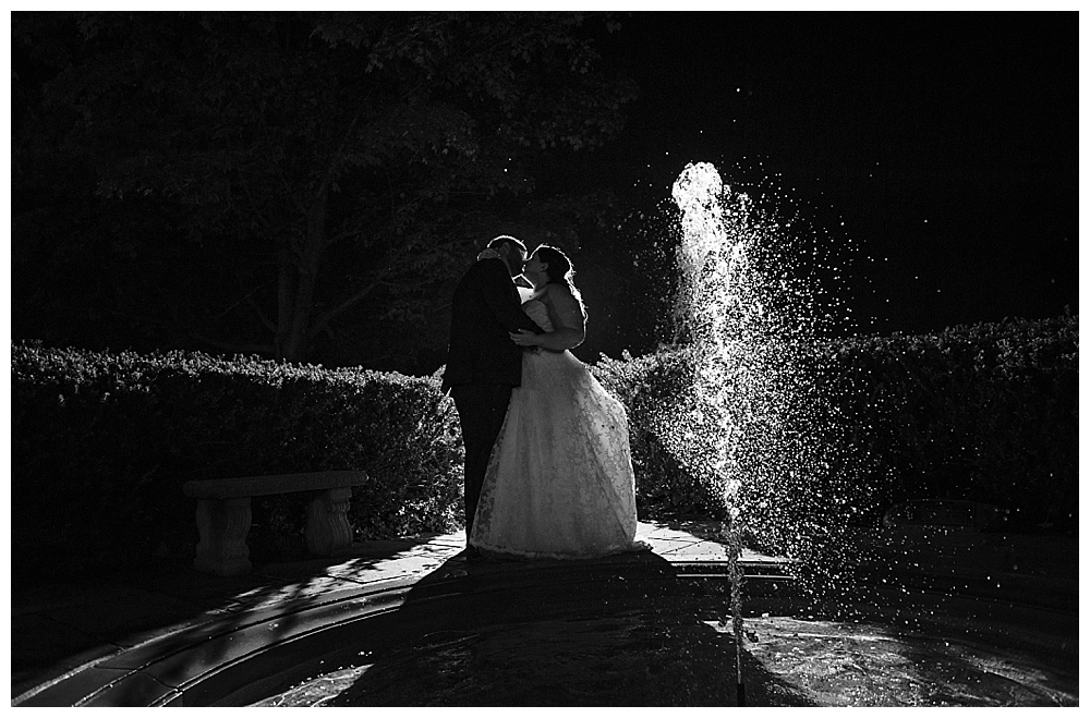 fountain silhouette wedding picture