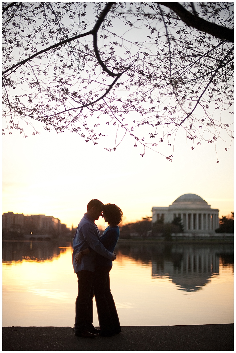 Washington DC engagement session cherry blossoms tidal basin