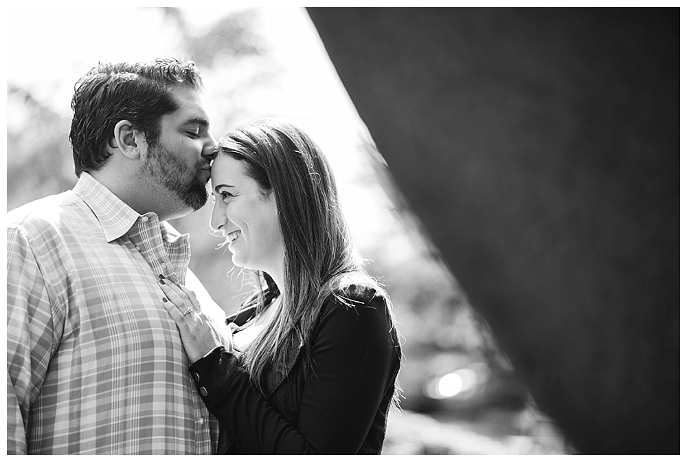 washington dc engagement session sculpture garden