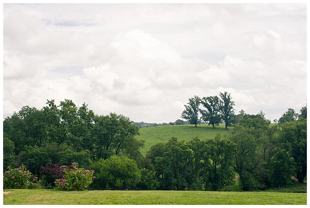 Shadow Creek Wedding