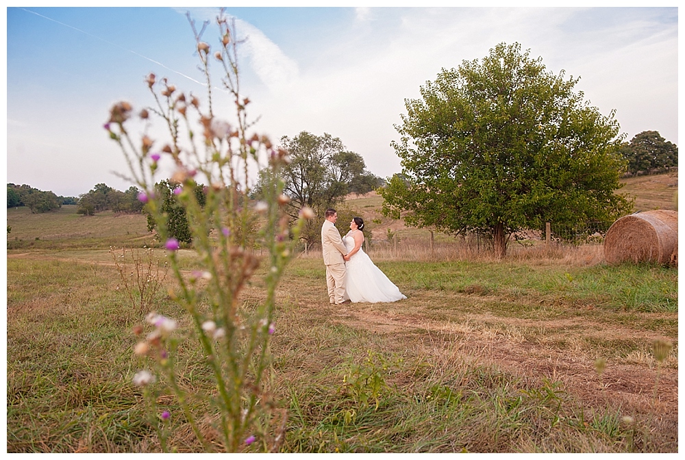 cloverdale barn wedding winchester va