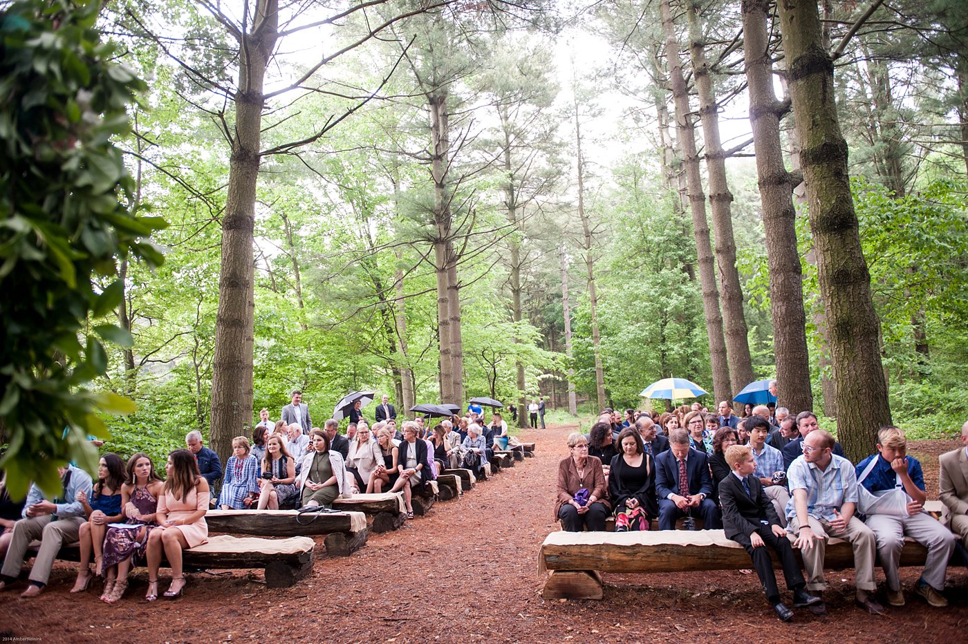 Wedding ceremony in the middle of the woods Thorpewood Mountain Memories Thurmont, MD