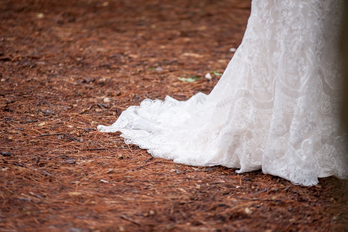 Wedding ceremony in the middle of the woods Thorpewood Mountain Memories Thurmont, MD