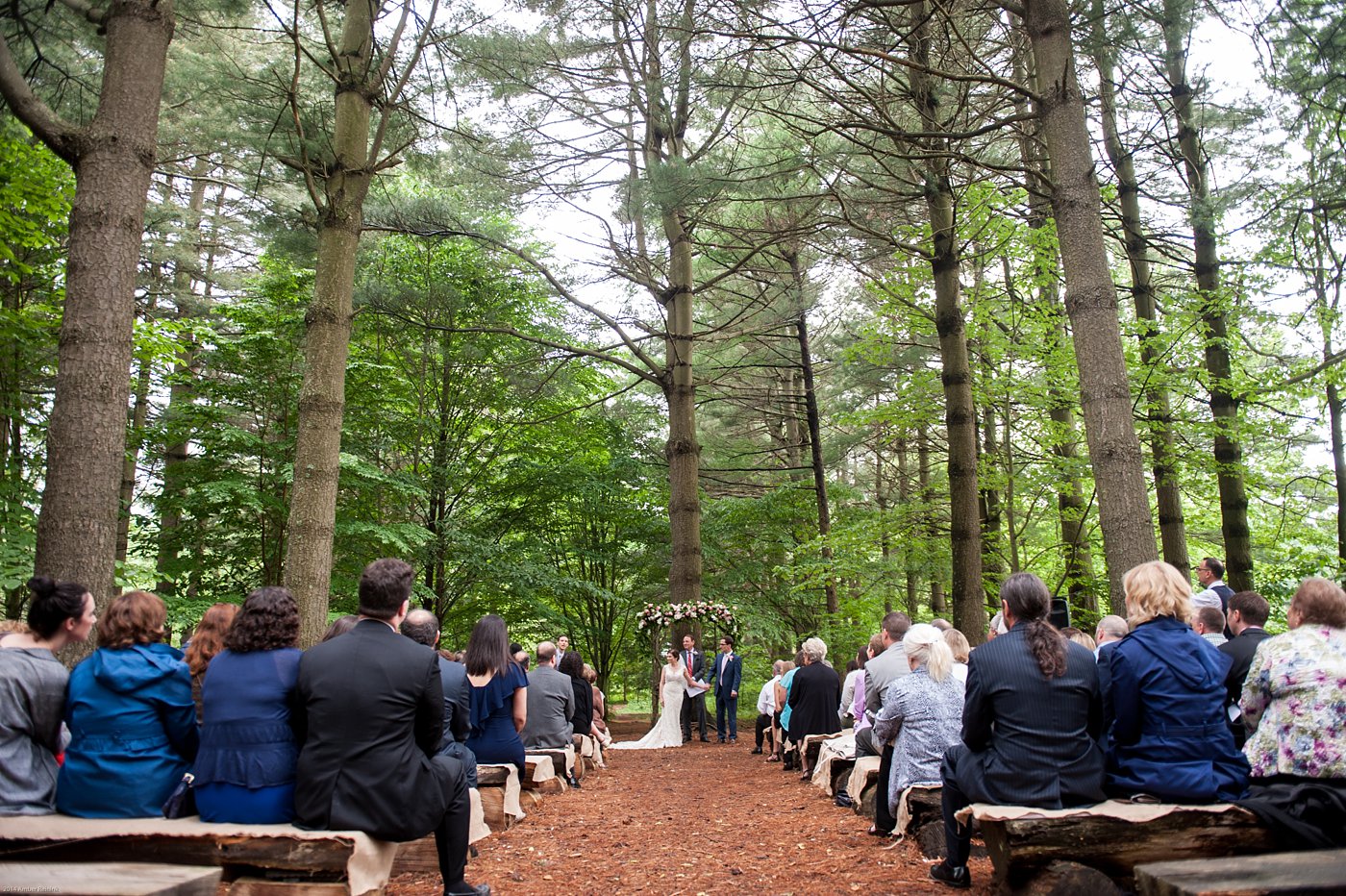 Wedding ceremony in the middle of the woods Thorpewood Mountain Memories Thurmont, MD