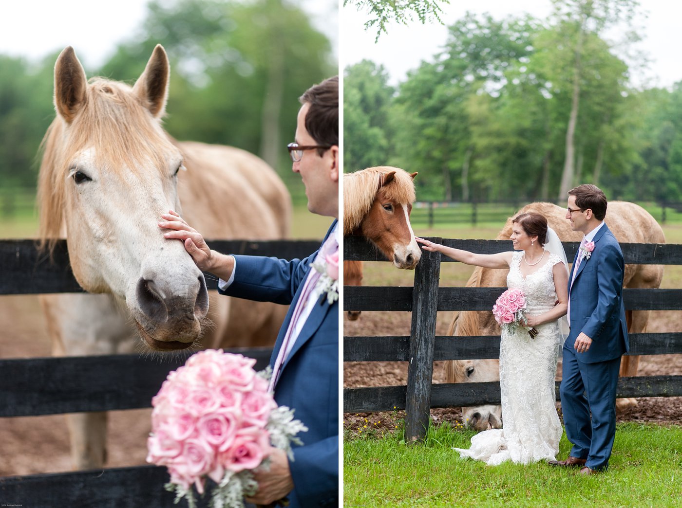 Bride and Groom with horses at Thorpewood Mountain Memories Wedding Thurmont, MD