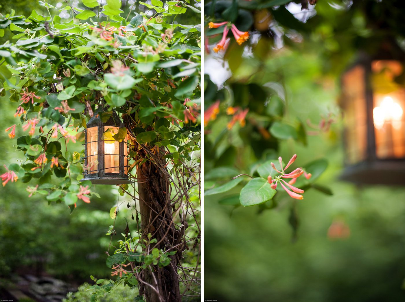 lantern and orange flowers Thorpewood Mountain Memories wedding Thurmont, MD